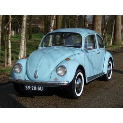 Servosterzo VW ladybug 1200/1300/1500 prima delle 74