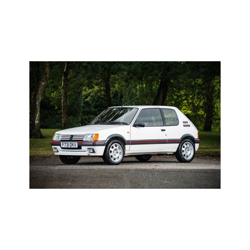Electric power steering Peugeot 205 Electric power steering Peugeot 205